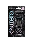 Dart szett Winmau steel Callisto 03, 26g, 90% gravírozott