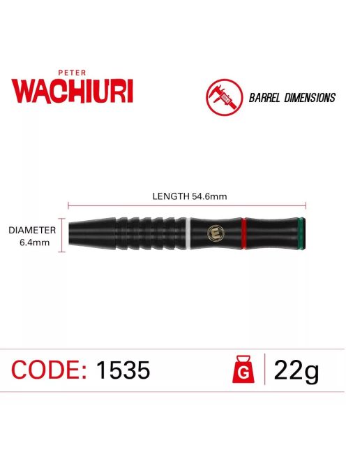 Darts szett steel Winmau Peter Wachiuri 22g, 90%