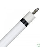 POOL DAKO ARTIST,NIR JOLLY VULCANO S23