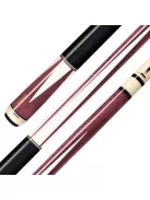 POOL DÁKÓ PREDATOR ASPIRE 1-6