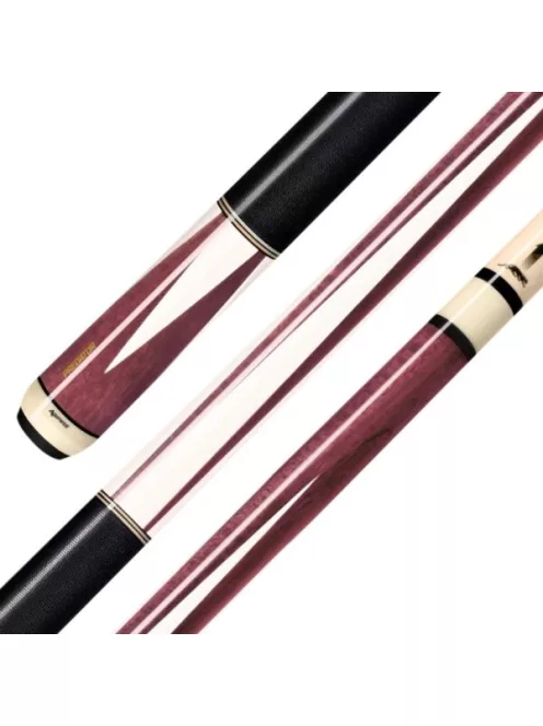 POOL DÁKÓ PREDATOR ASPIRE 1-6