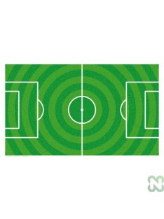 NIR WORLD ARENA pitch paper 120 x 70cm