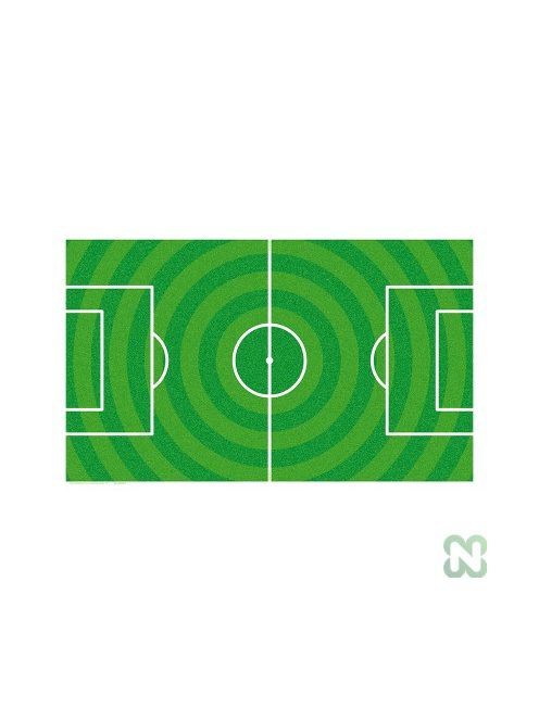 NIR WORLD ARENA pitch paper 120 x 70cm