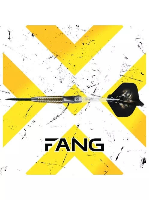 Darts szett Bullet Fang steel 24g 90%