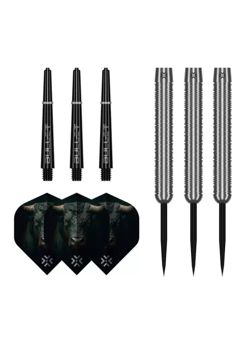 Darts szett steel Bullet Fury 24g, 90%