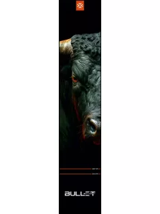 dart szőnyeg Bullet Fury 300 * 60 cm (dobóvonalakkal)
