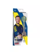 Dart szett Bull's David Pallett, steel, 20g, 90%
