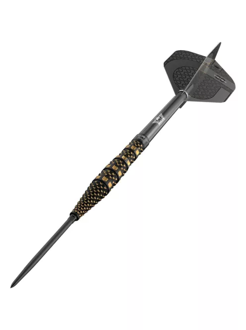 Darts szett steel Bulls NL Advantage 95 Slope CP, 24g 95%