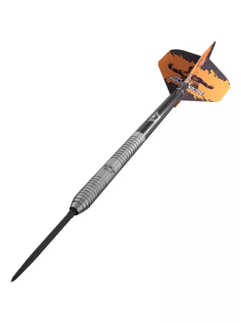 Darts szett steel Bulls NL Dirk Van Duijvenbode Original CP, 23g 90%