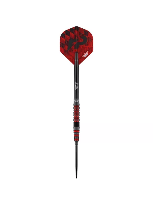 Darts szett steel Bulls NL Florian Price 90 CP, 20g 90%