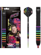 Darts szett steel Bulls NL Ricky Evans Rapid 95 CP, 22g 95%