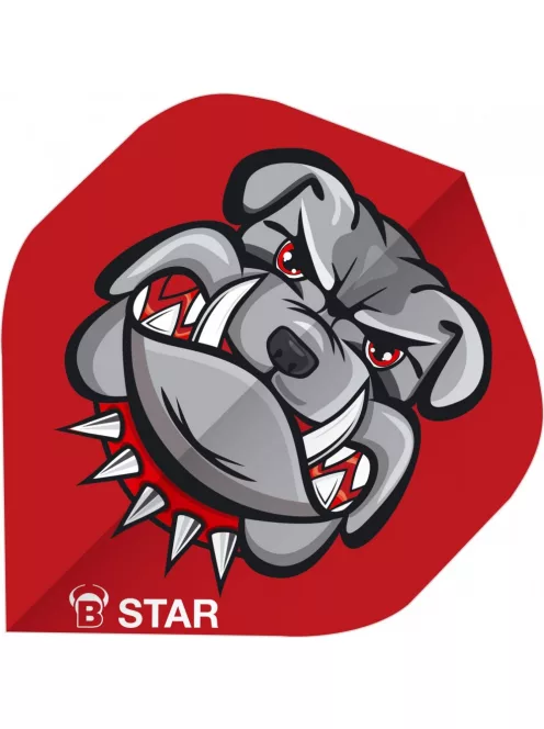 Bull's Darts toll B-Star