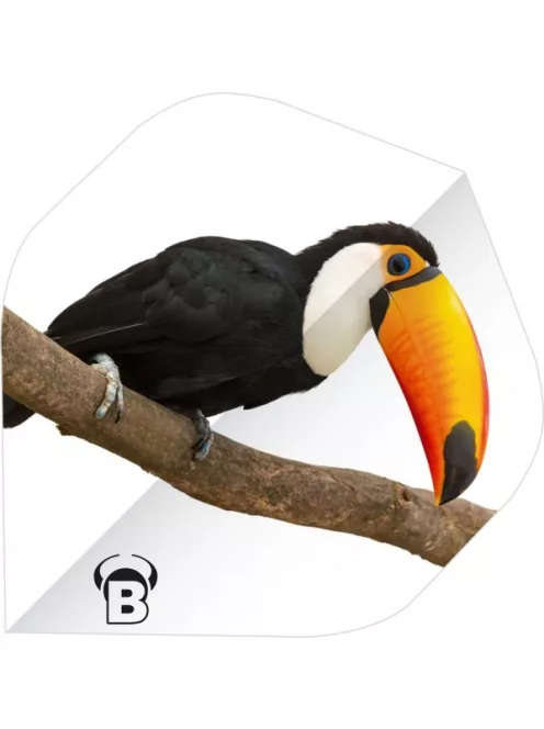 dart pen Bull's Motex A-standard