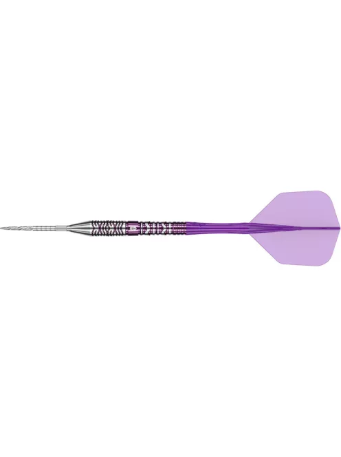 darts szett steel Caliburn Awakening Ivan 25gr, 90%