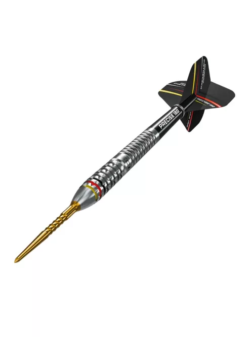 darts szett Precise 180 Ricardo Pietreczko 90% 21gr