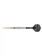 darts szett Precise 180 Ricardo Pietreczko 90% 23gr