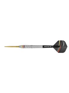darts szett Precise 180 Ricardo Pietreczko 90% 23gr