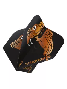 Dart toll Red Dragon Peter Wright bronz