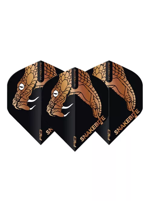 Dart toll Red Dragon Peter Wright bronz