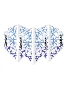   DARTS TOLL RED DRAGON AIRWING GERWYN PRICE ICEMAN FEHÉR, STANDARD