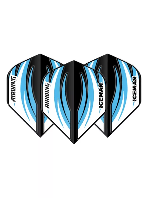 DARTS TOLL RED DRAGON AIRWING GERWYN PRICE ICEMAN FEKETE-KÉK, STANDARD