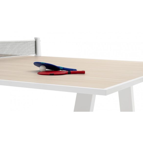 FAS Grasshopper indoor ping-pong table