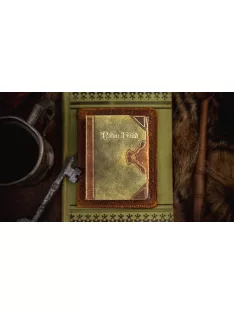 Robin Hood card, by Jackson Robinson