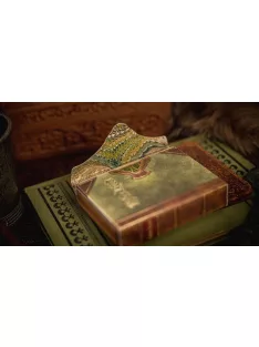 Robin Hood card, by Jackson Robinson