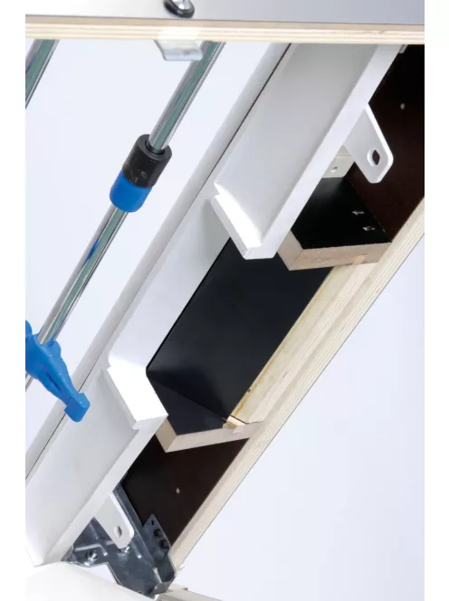 GARLANDO WORLD CHAMPION, 5