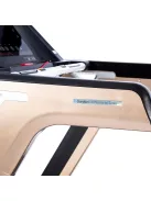 Treadmill inSPORTline Gardian G12