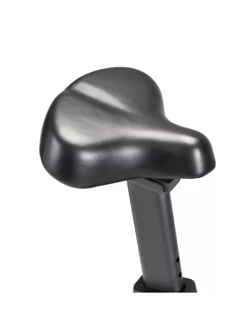 Room bike inSPORTline Delavan UB