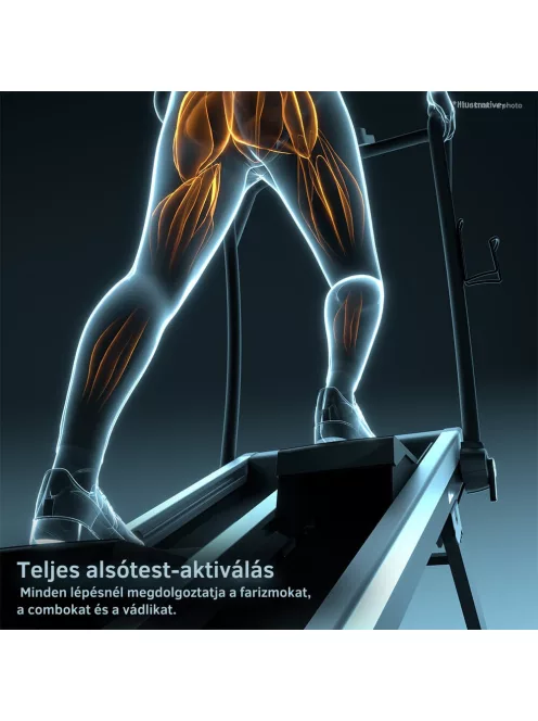 Lépcsőzőgép inSPORTline ZenPeak 30, elektromos terhelés, csúszásmentes felület, kapaszkodók, LCD kijelző, italtartó, iConsole+, taposógép