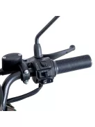 Négykerekű elektromos moped W-TEC Lubica II, LCD kijelző, 3 sebességi mód, biztonsági riasztó - zöld