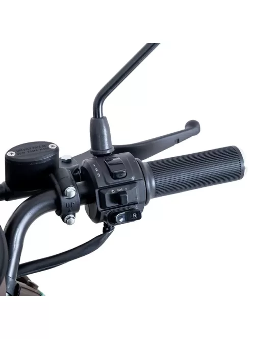 Négykerekű elektromos moped W-TEC Lubica II, LCD kijelző, 3 sebességi mód, biztonsági riasztó - zöld