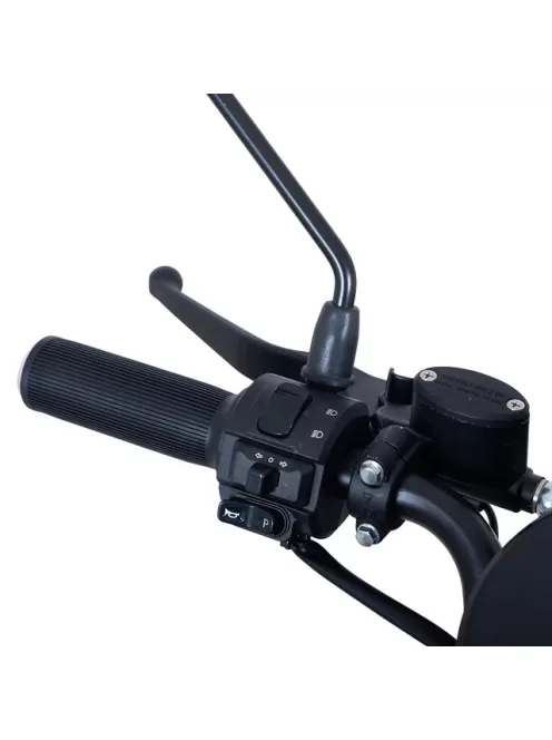 Négykerekű elektromos moped W-TEC Lubica II, LCD kijelző, 3 sebességi mód, biztonsági riasztó - zöld