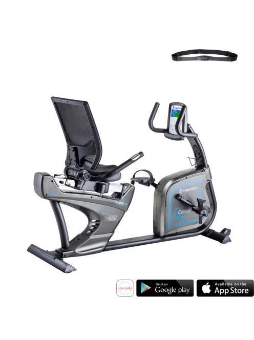 Backrest indoor bike inSPORTline inCondi R600i