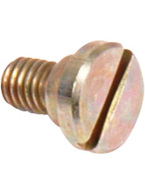 Simplex Backplate Screw for coin testers