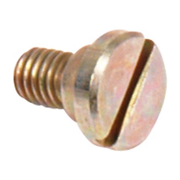 Simplex Backplate Screw for coin testers
