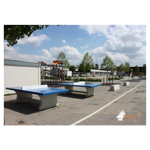 vandal-proof outdoor HeBlad concrete table tennis table classic blue