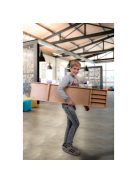 Buffalo mini shuffleboard