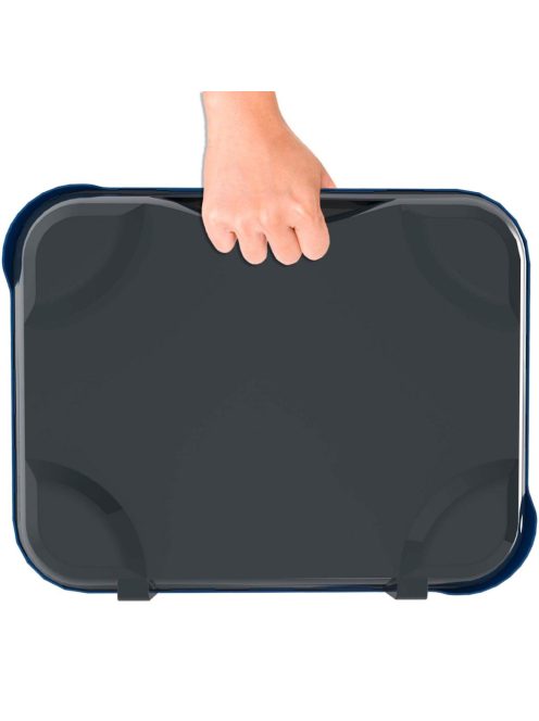 Buffalo Pickleball készlet (háló, ütők, labda) műanyag hordtáskában