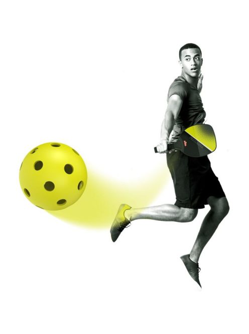 Buffalo Pickleball  készlet  (ütő és labda szett)