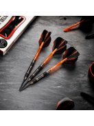 DART SET RED DRAGON STEEL AMBERJACK 5 - 24g