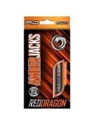 Dart set Red Dragon steel Amberjack 14 - 23g