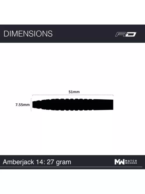 Dart set Red Dragon steel Amberjack 14 - 25g