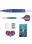 Dart Set steel 24g Peter Wright Snakebite PL15 Blue, 90% Tungsten