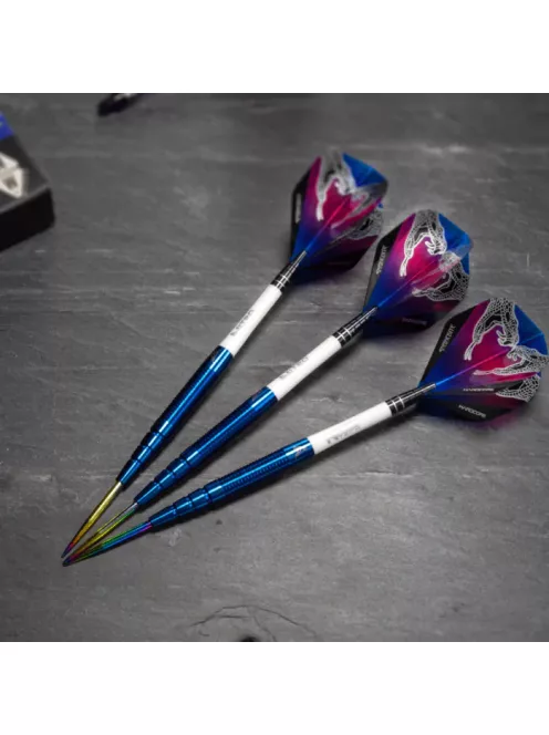 Dart Set steel 24g Peter Wright Snakebite PL15 Blue, 90% Tungsten