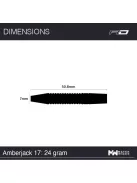 Dart set Red Dragon steel Amberjack 17 - 24g