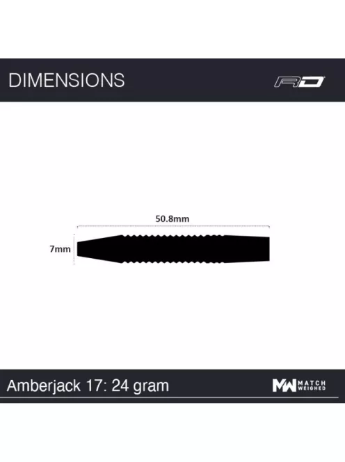 Dart set Red Dragon steel Amberjack 17 - 24g