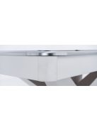 pool billiard table competition Rasson Victory II 9' (black or white)